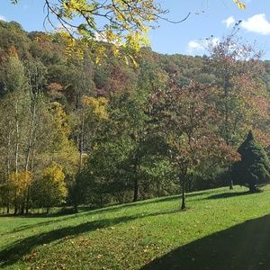 Meet your Posher, Miranda